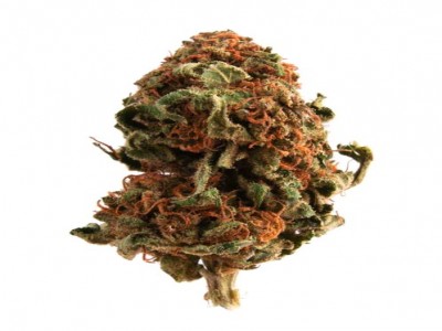 Buy Orange Berry Marijuana Strain